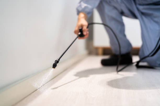 Licensed Mosquito Control service in Lakes of the Four Seasons, IN - Show Me Pest Control
