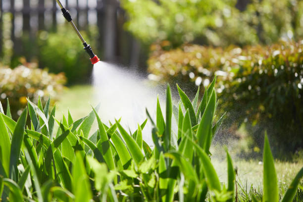 24/7 Emergency Mosquito Control experts in Lakes of the Four Seasons, IN